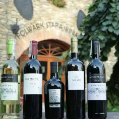 Jak dać wino na wesele - najlepsze wybory i praktyczne porady